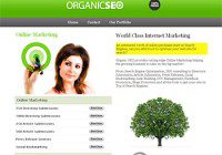 organic-seo-and-online-marketing
